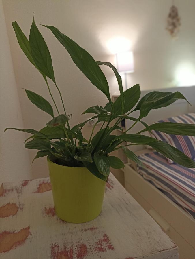 Confortable Habitación Céntrica En Piso Privado Alloggio in famiglia Málaga